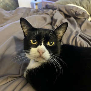 Fundraising Page: Samara Chavez